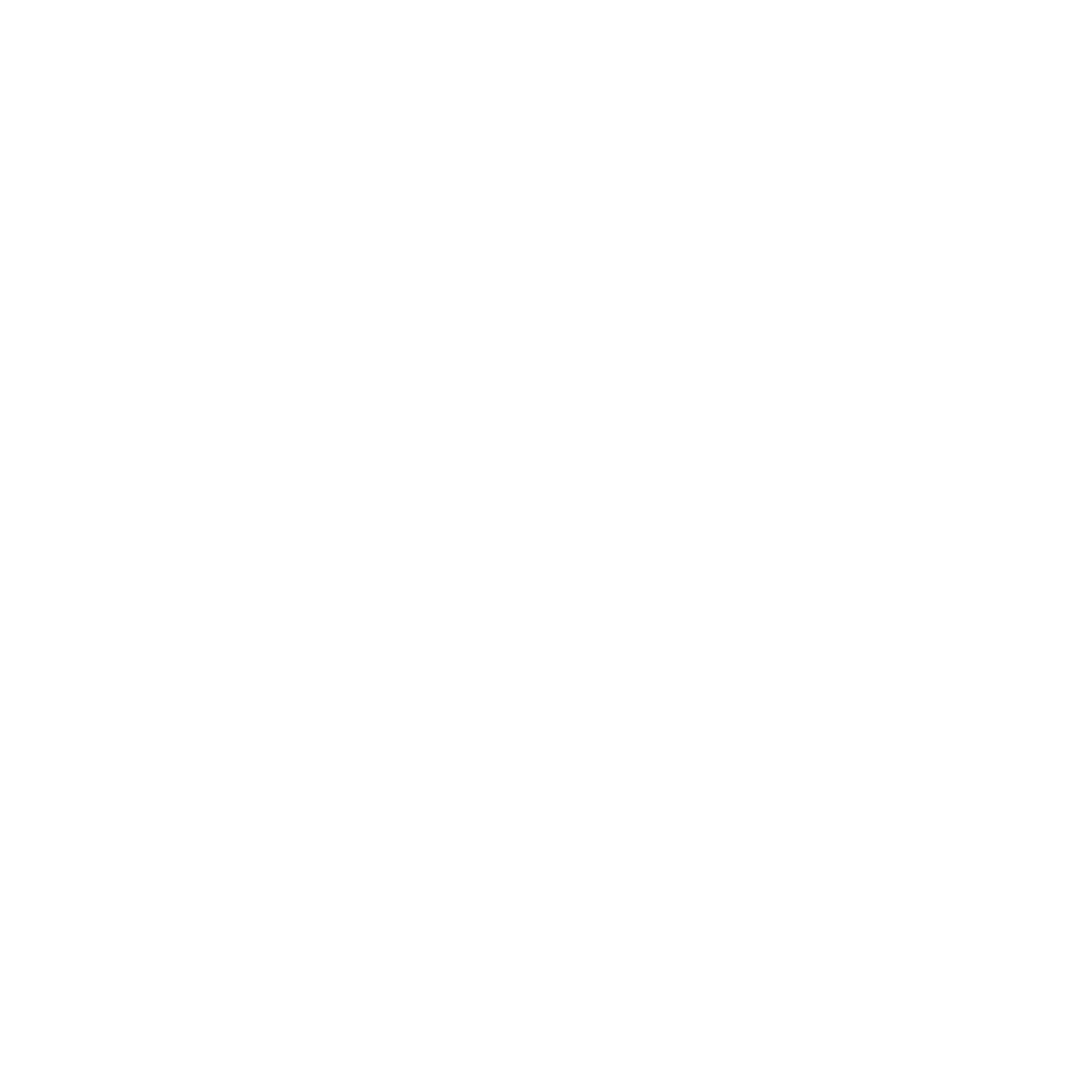 nickson logo