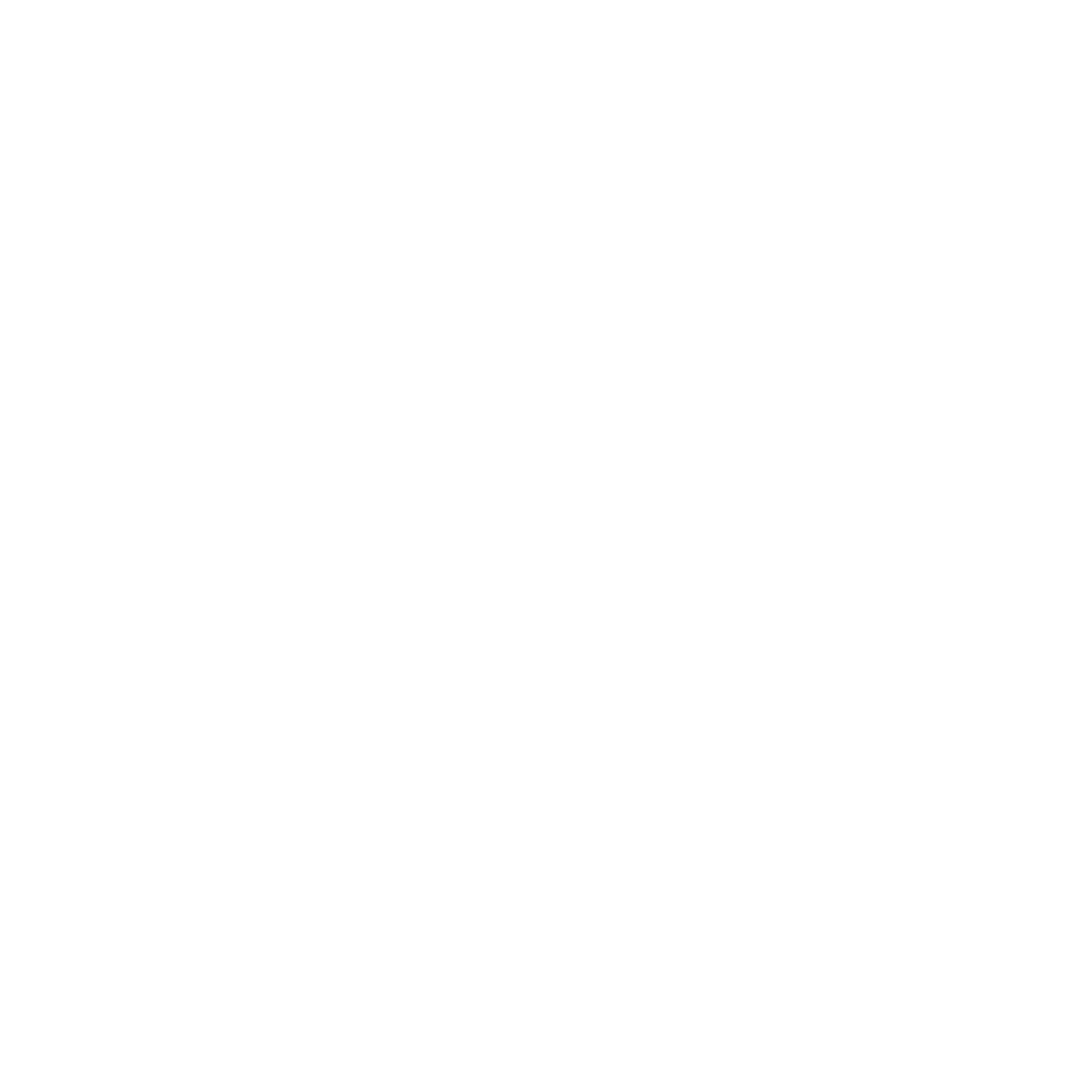 nolan's on canandaigua lake logo