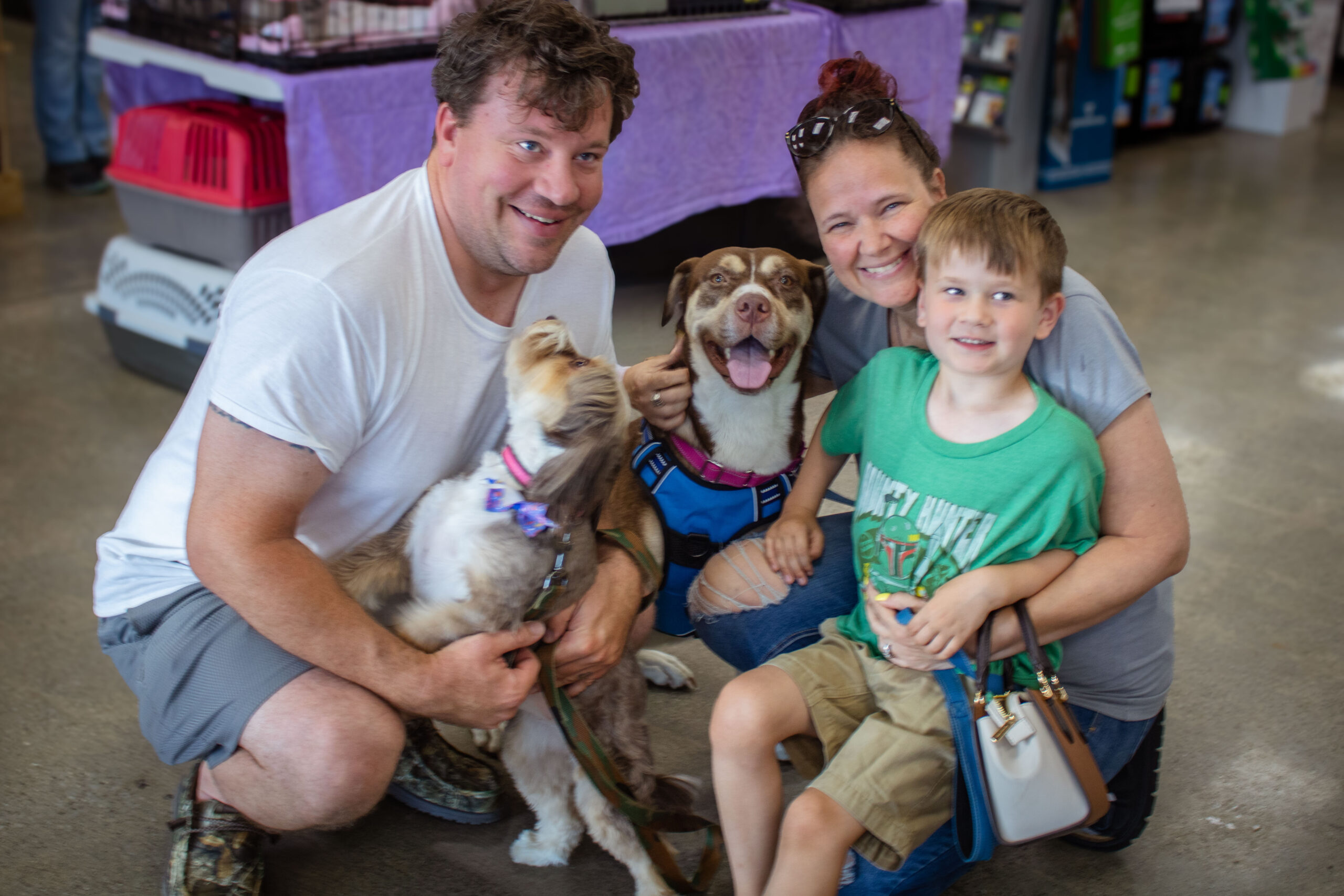 Animal Adoption Photography